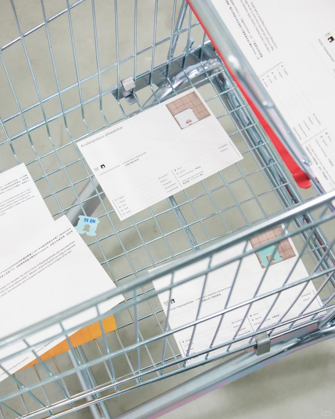 展览现场｜一些面包夹展的现场照片?