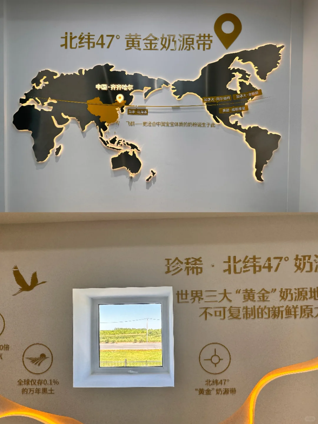 为了这一扇窗也要来的飞鹤工厂?