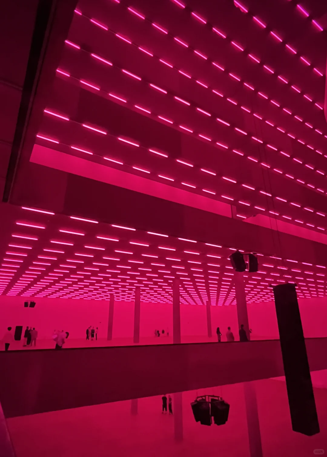 ??第二个学期在瑞士看的平面设计展览