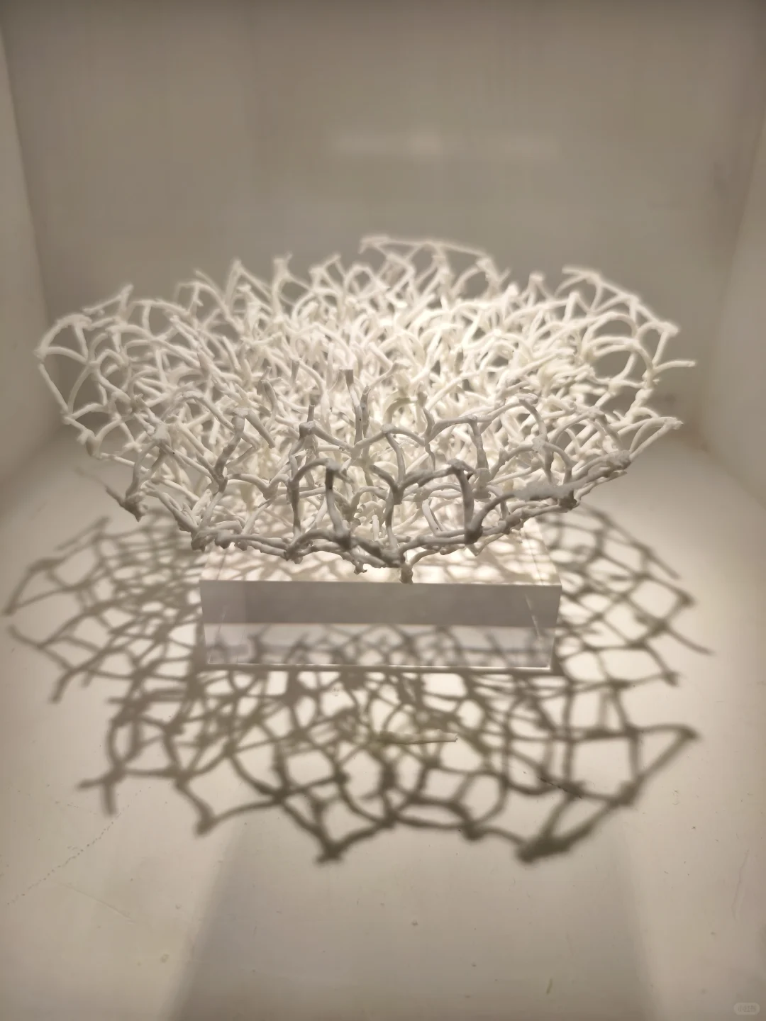 卧槽，艺术生彻底怒了！！！！！