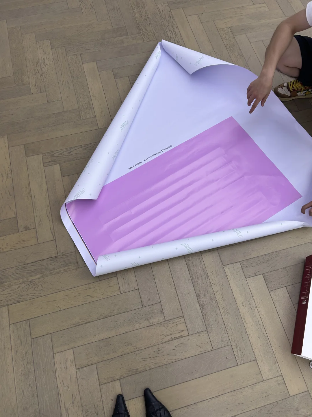 20岁终于成为了策展人