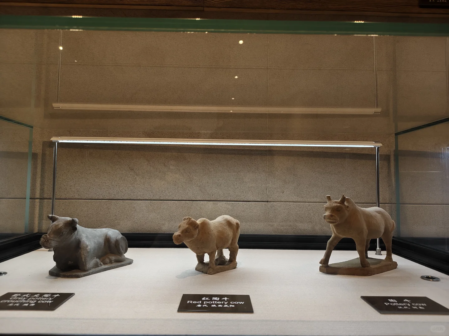 北京小众展馆：农展