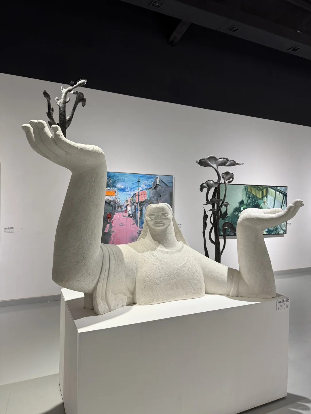 ?一张票看全国79所高校毕业大作