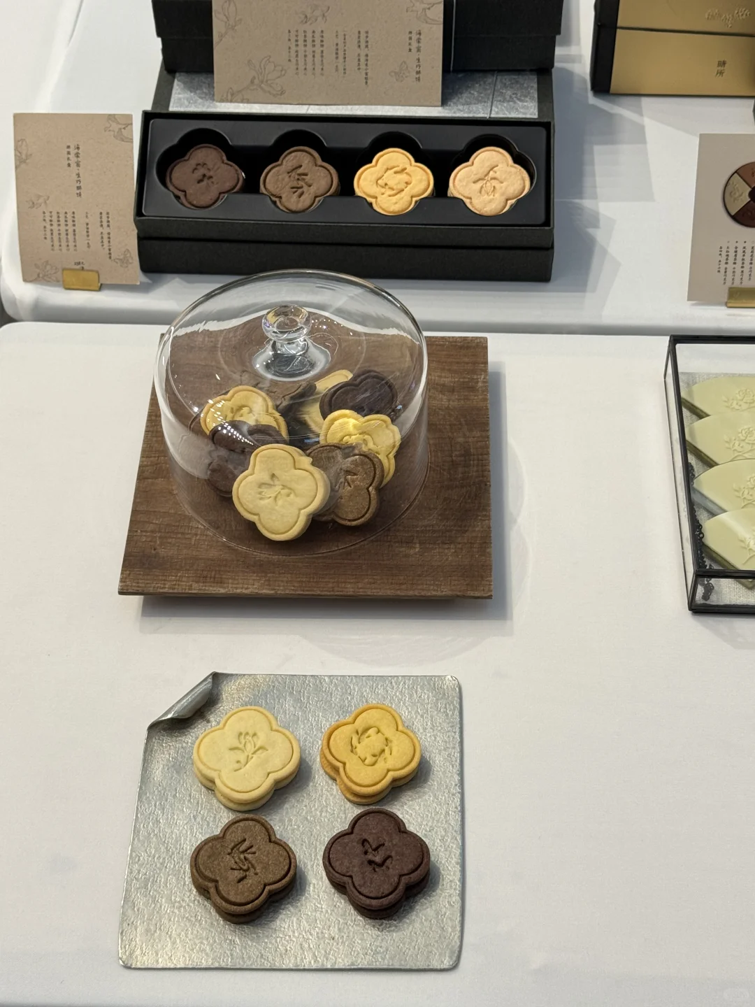 听松•观石｜有幸参加风流大展发布会啦