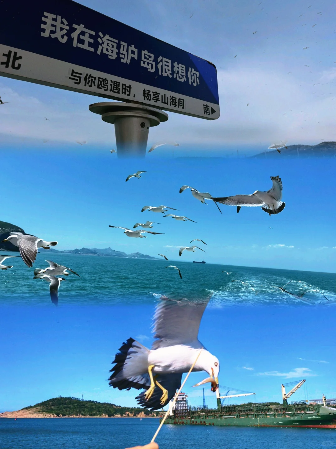 威海已回，千万不要穿宽松的裙子