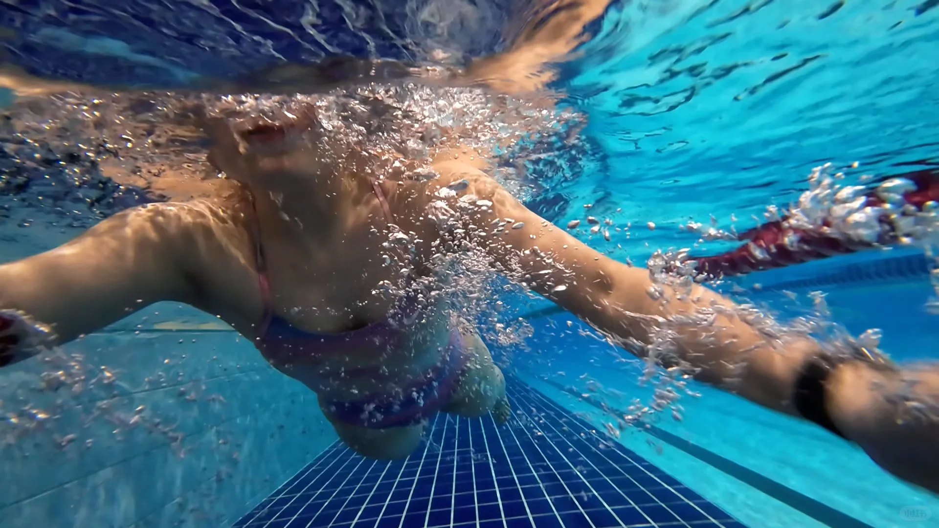 泳池谐星俺老孙回来辣！