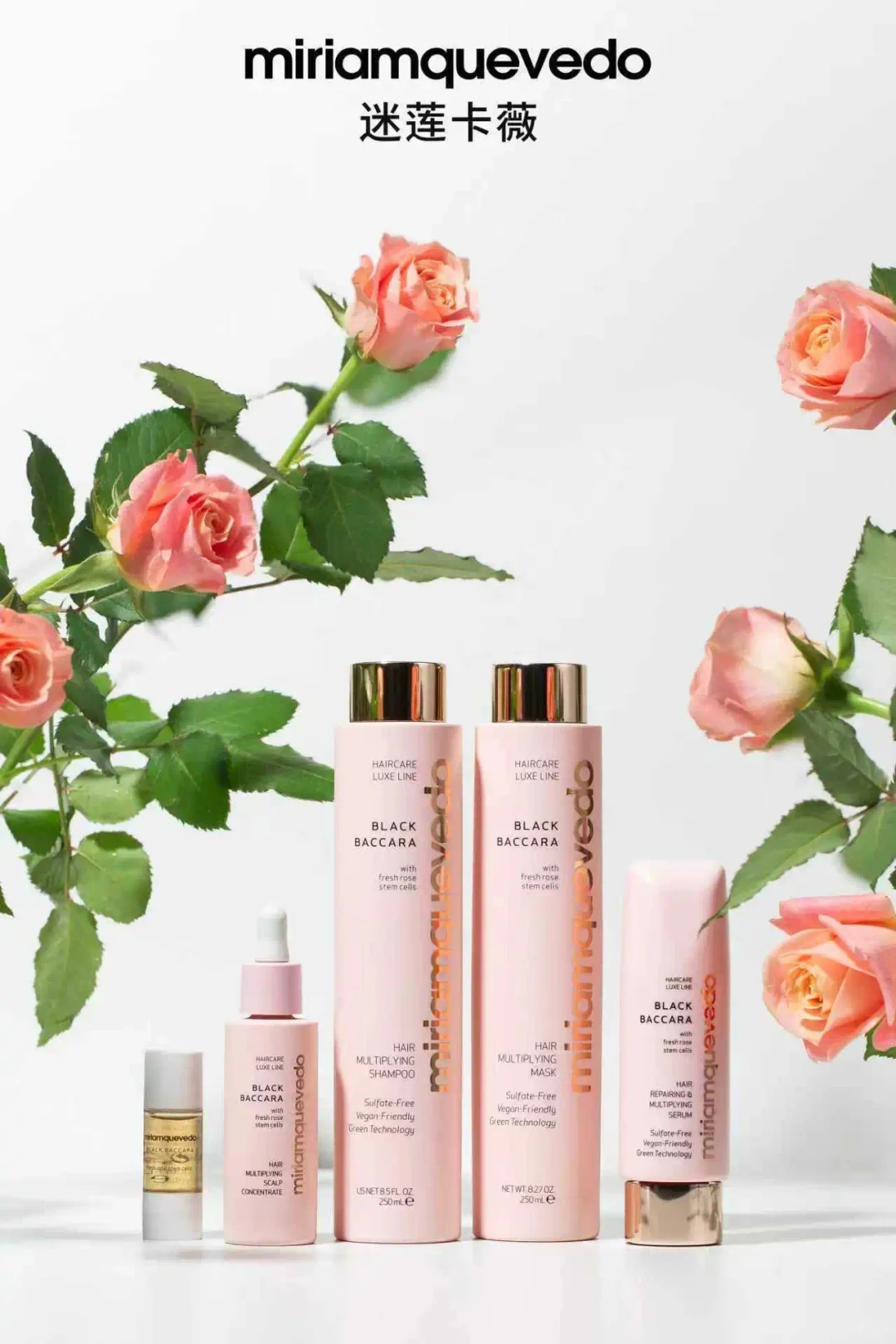 立即预约｜美护上海早鸟特惠倒计时?