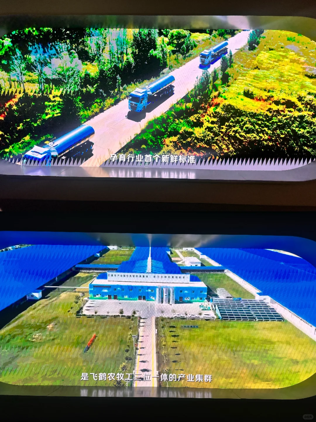 为了这一扇窗也要来的飞鹤工厂?