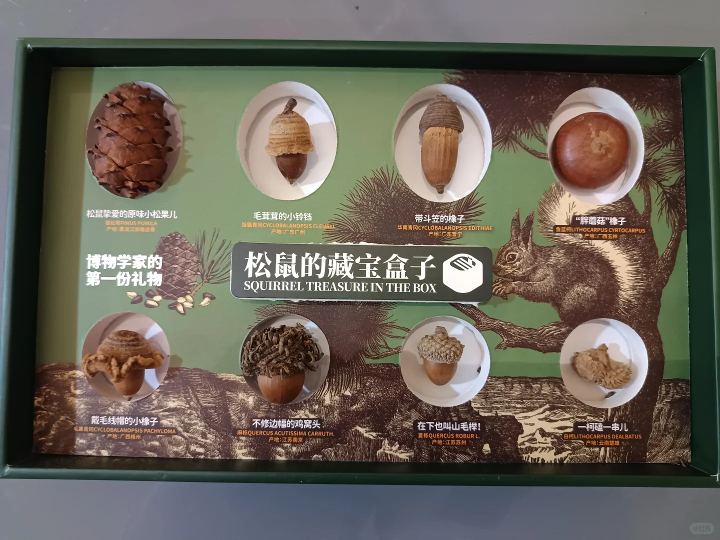 九月！广州见！