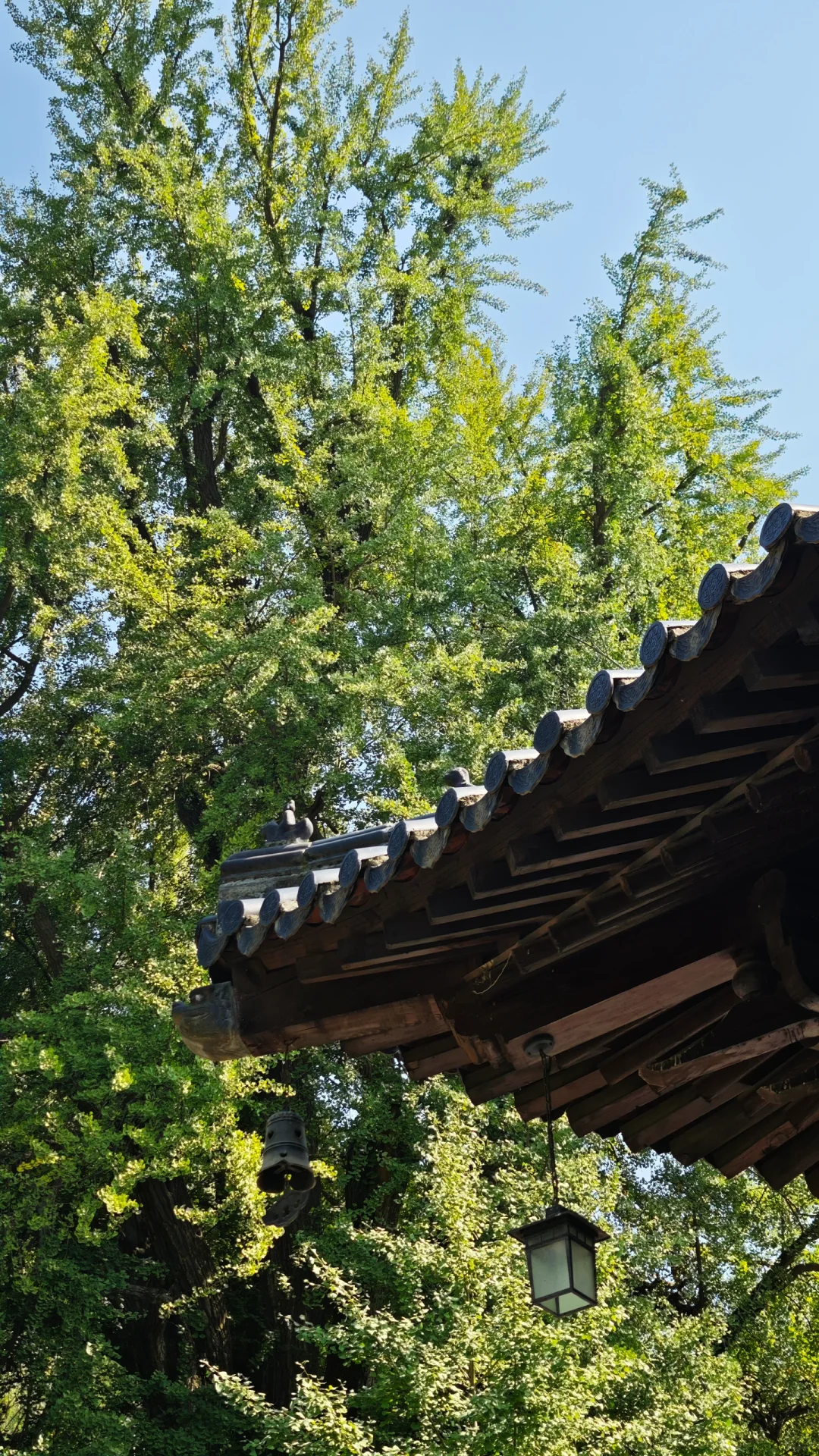 赴一场“蓝天之约”——西工大飞机展✈️