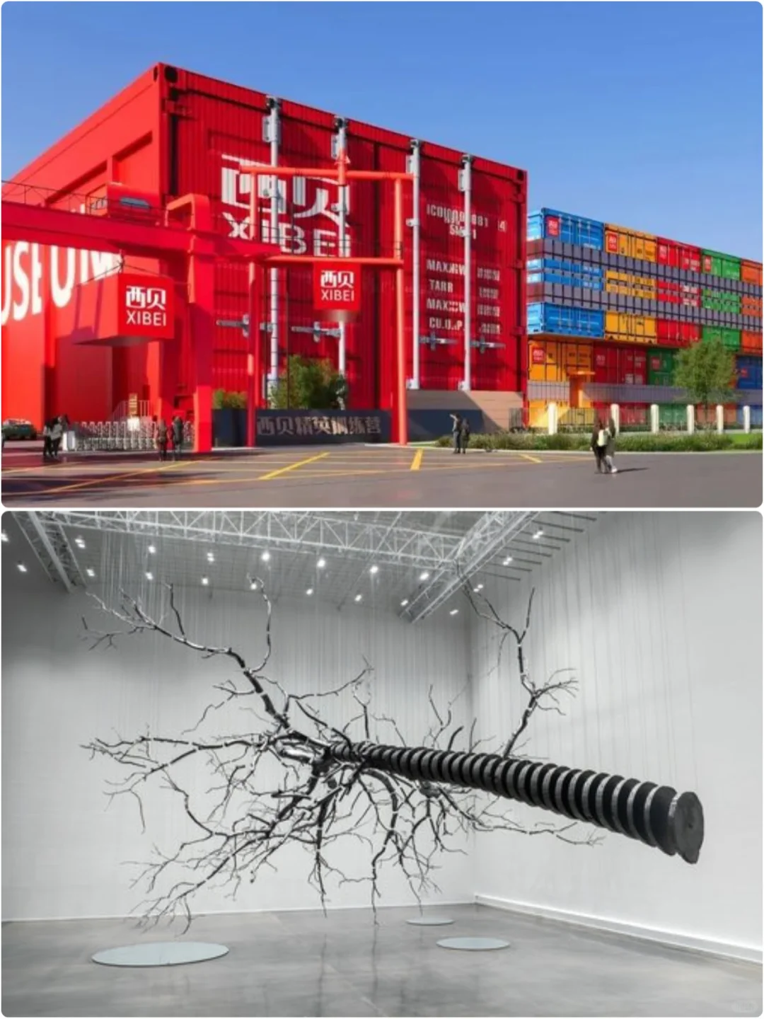 Latest Exhibition | 冷库爆改艺术馆？