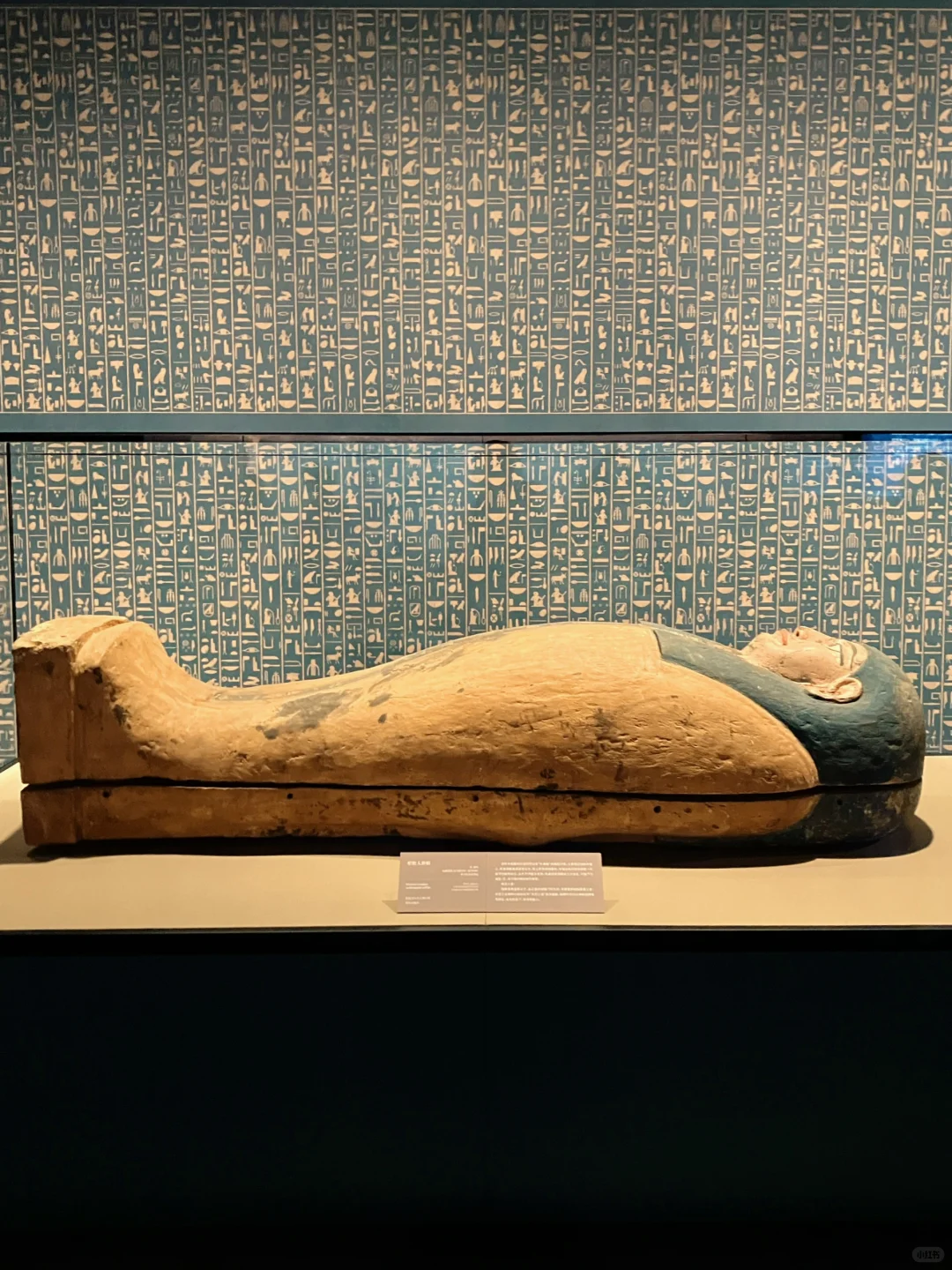 8千万博出7亿，上博古埃及展何以如此成功?️