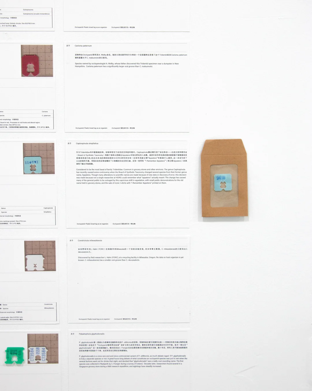 展览现场｜一些面包夹展的现场照片?