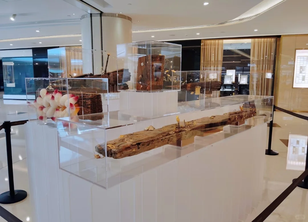 国贸几个展览+快闪合集～很适合?