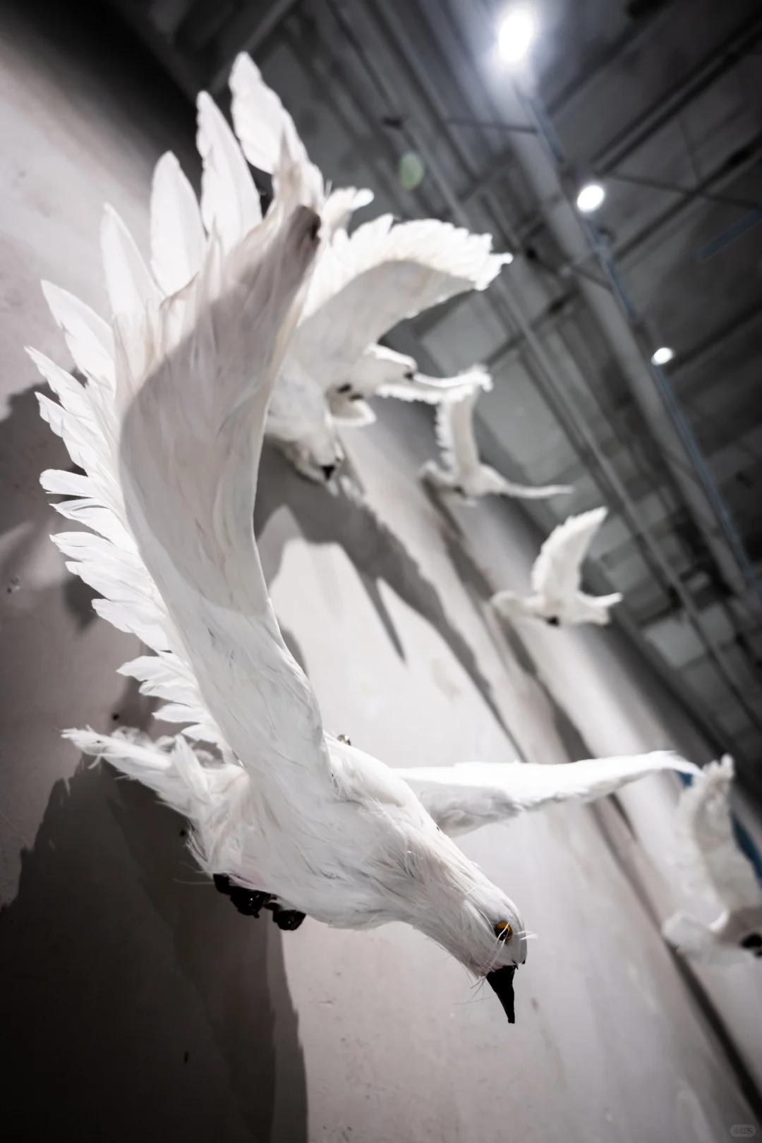 成都cosmo新展｜致天空的一封情书 1 ?