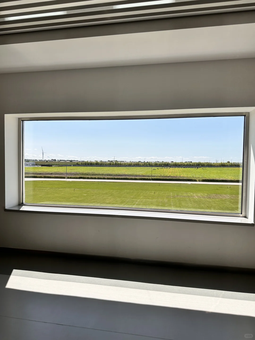 为了这一扇窗也要来的飞鹤工厂?