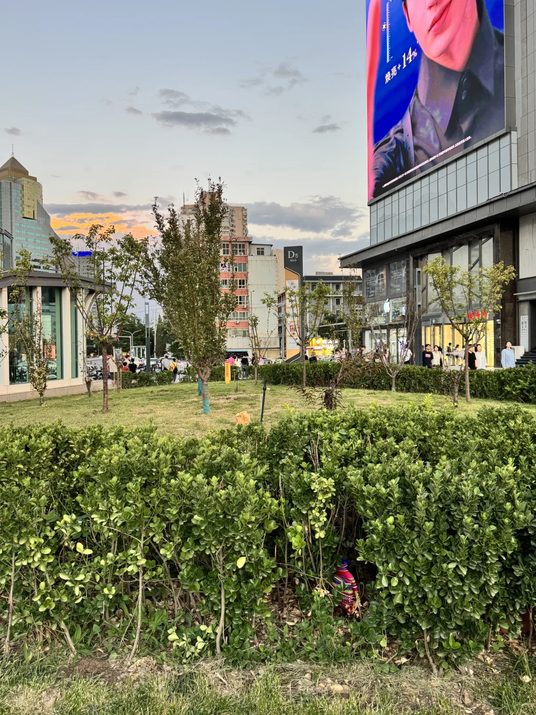 东方红广场自取