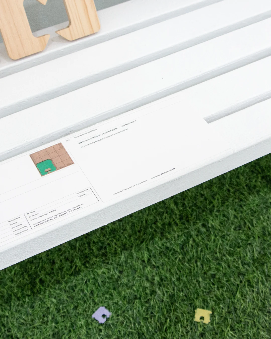 展览现场｜一些面包夹展的现场照片?