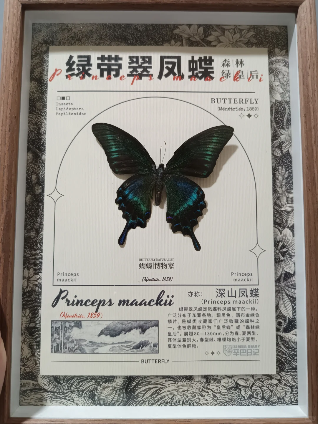 九月！广州见！