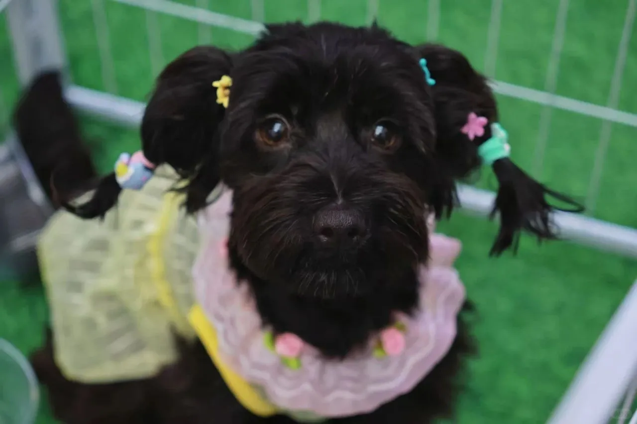 北京活动暴击！免费音乐会、露天电影全都有