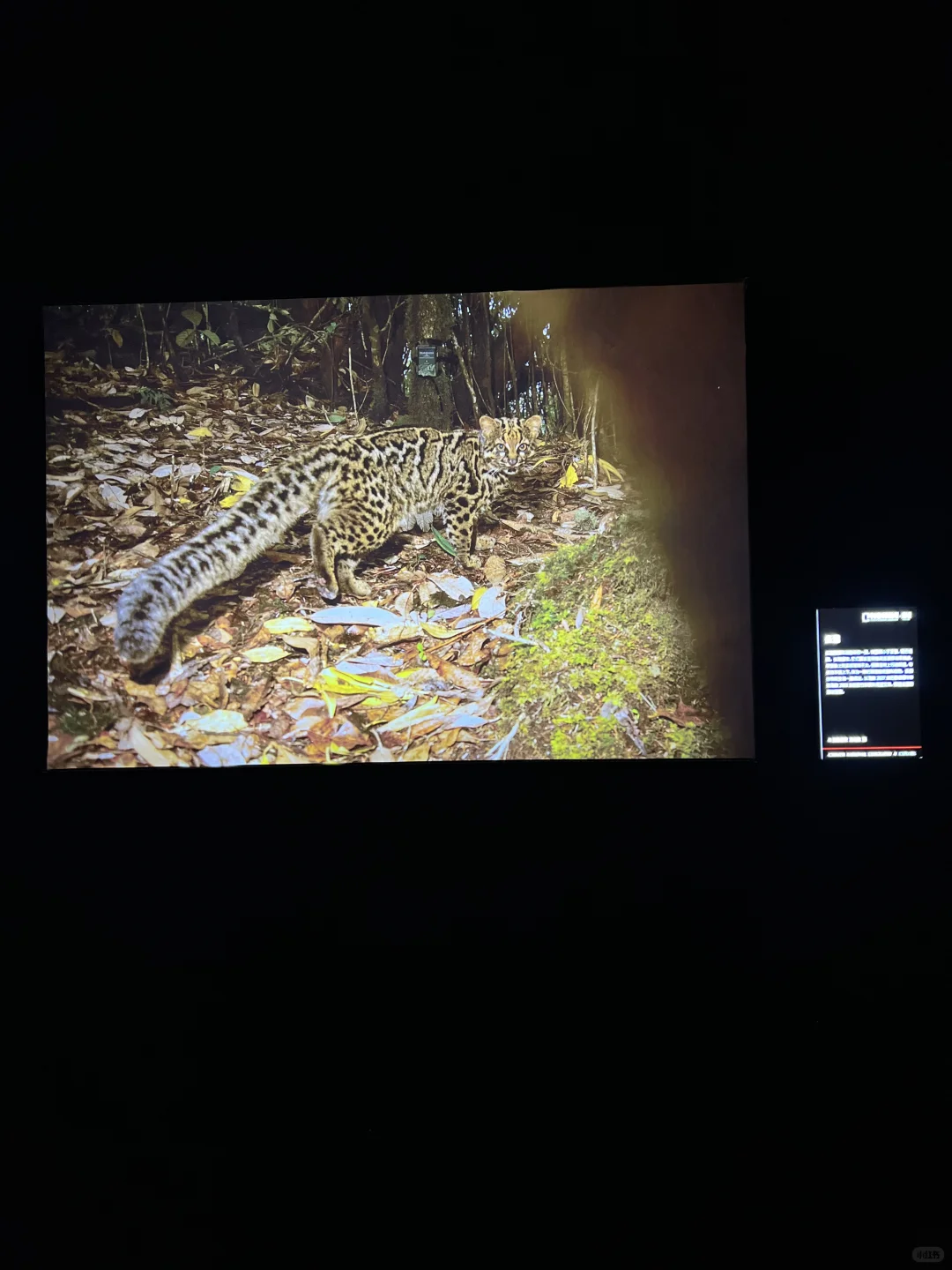 南宁新展！！好震撼！！