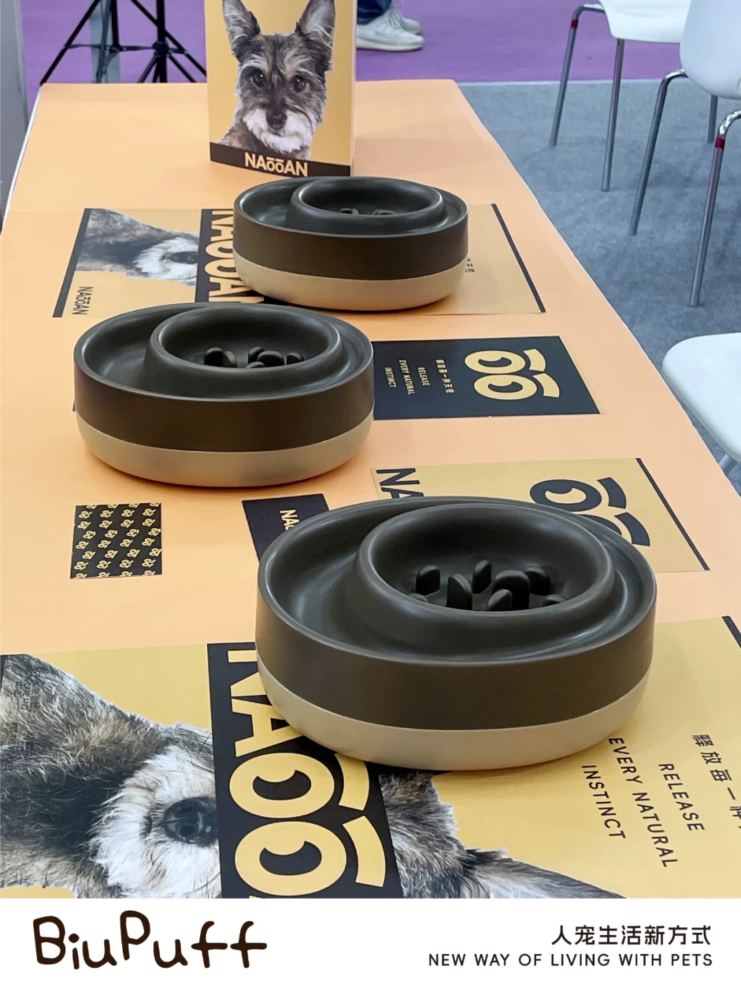 深圳宠物用品展，我们来了！