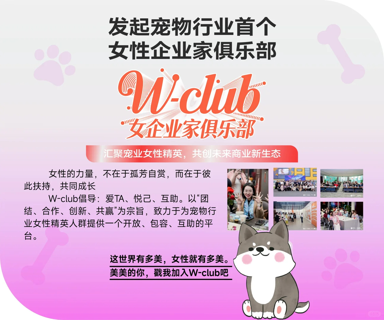 亚宠展我们来啦！