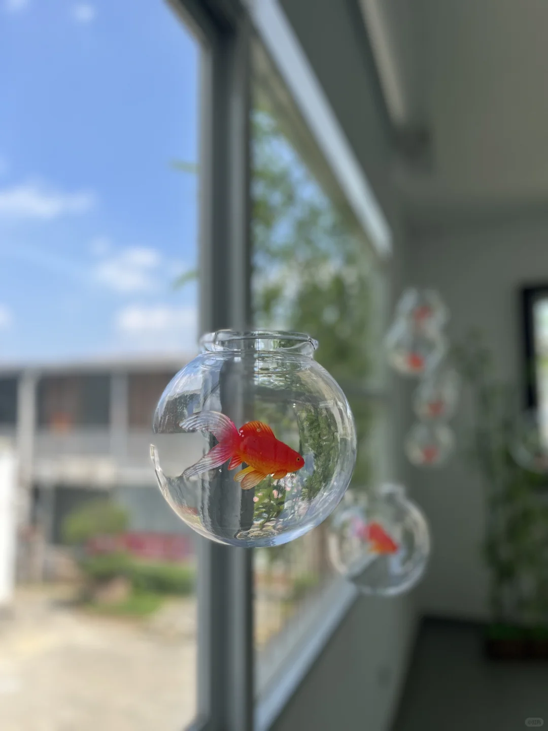 广州新展｜坠入鱼里的世界? （附路线‼️）