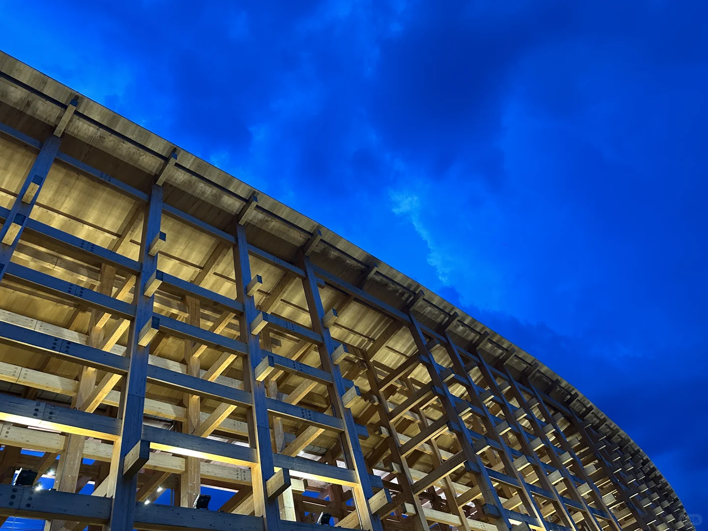 EXPO2025！长见识变成长教训！