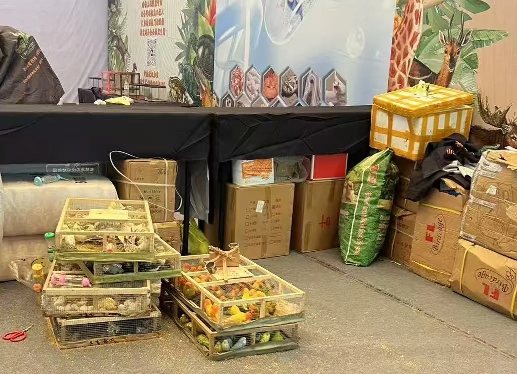 2025亚宠展 E5B01 不爱请别伤害