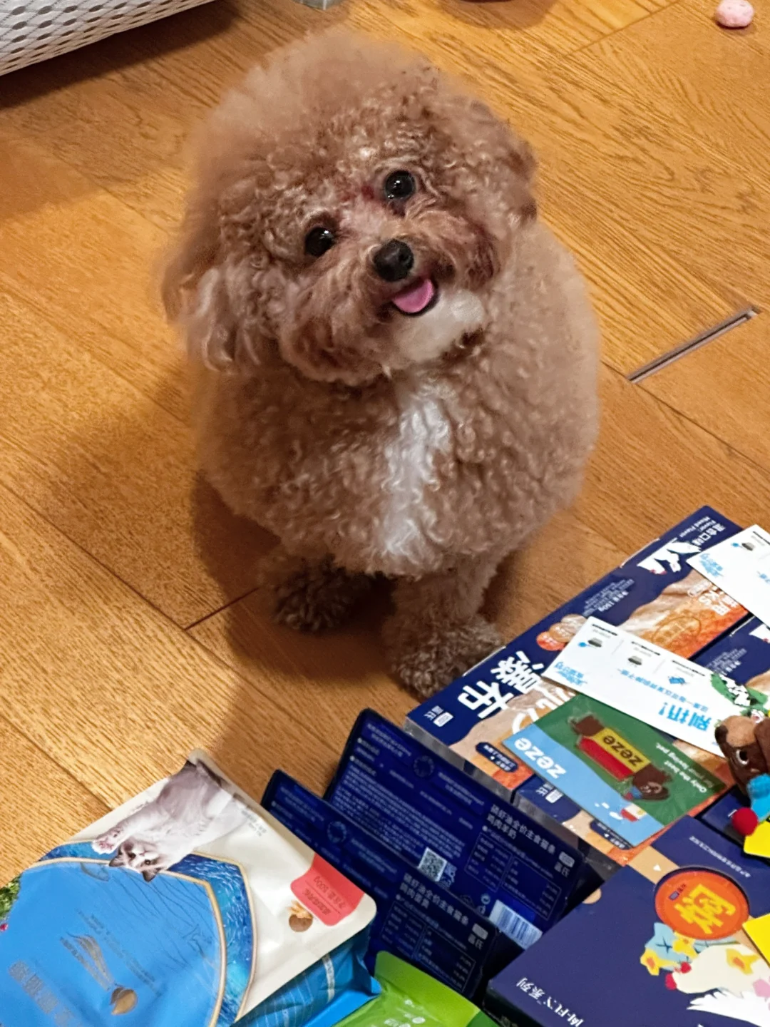 亚宠展攻略（文字版）