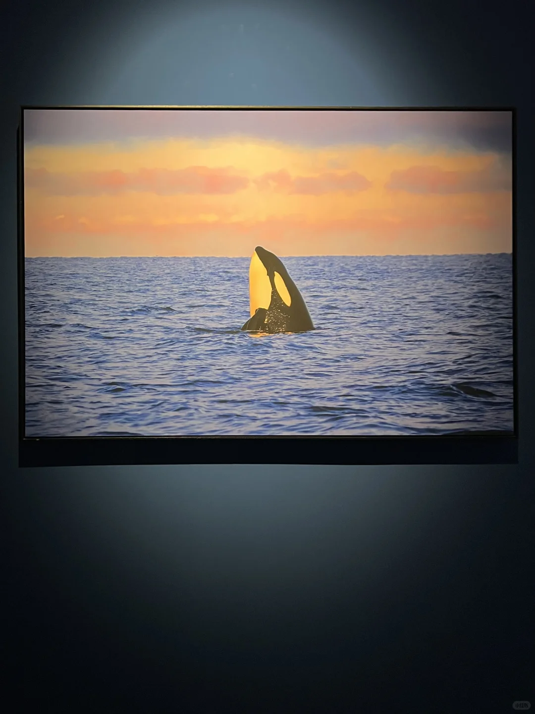 南宁新展！！好震撼！！