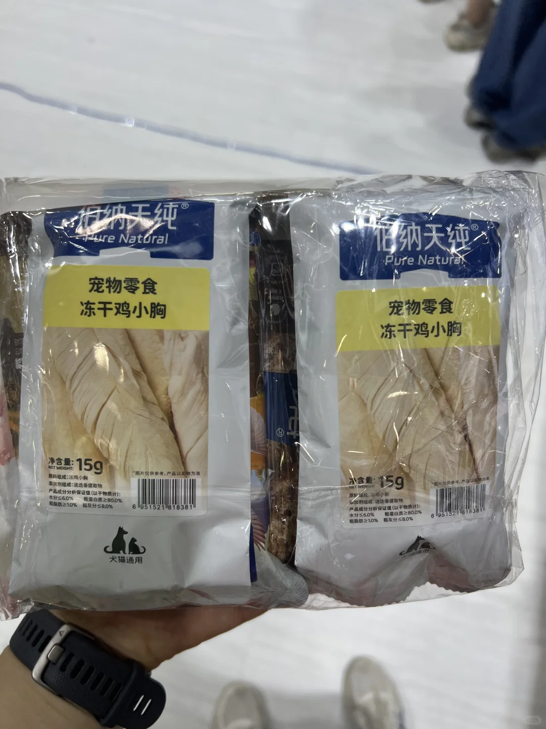 上海宠物展，今天开始啦