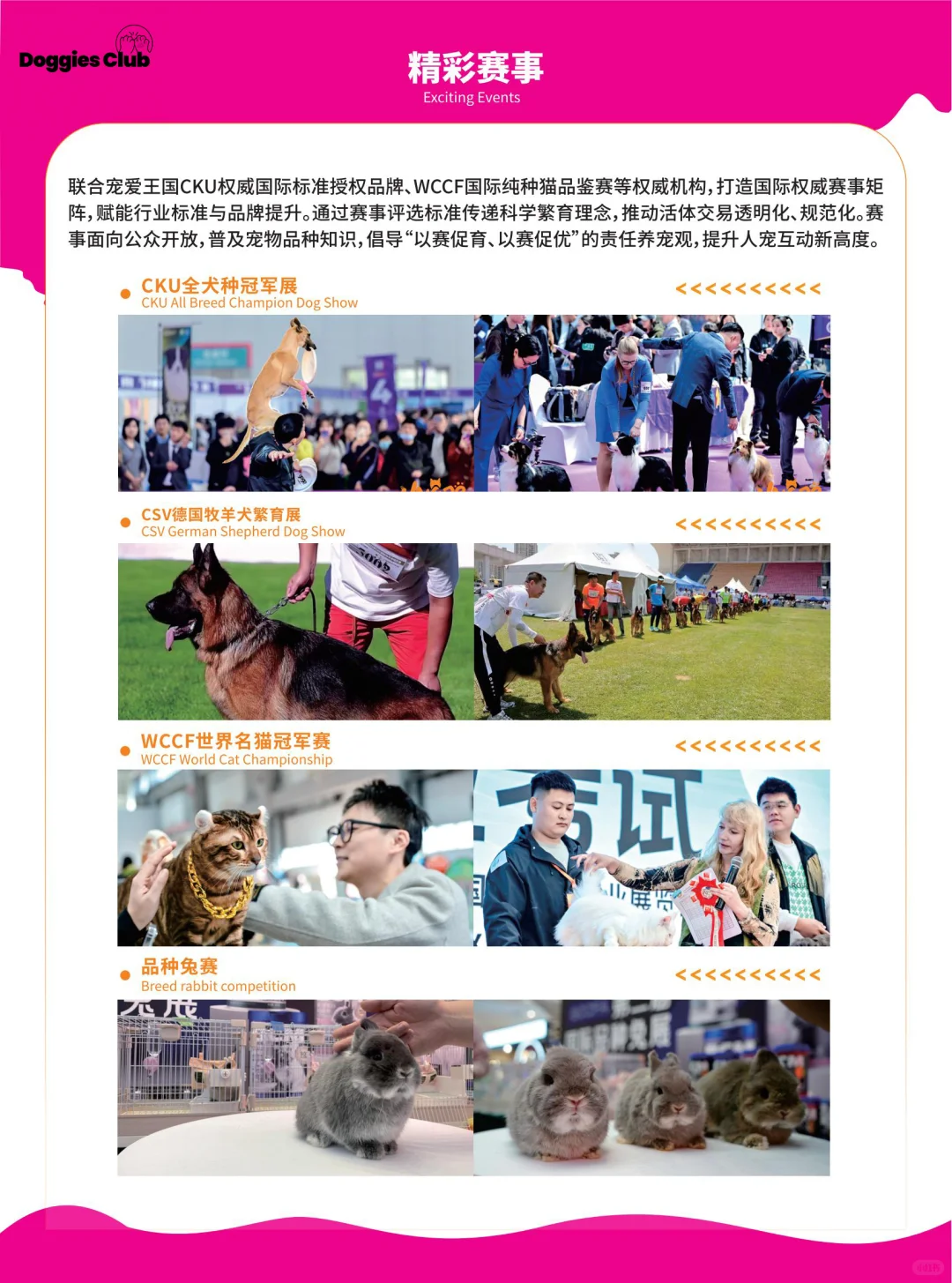 青岛金诺亚宠展xDoggies Club