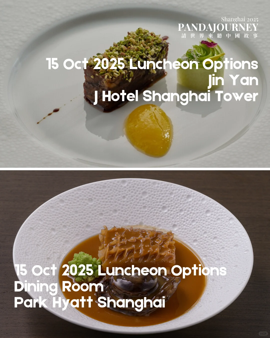 PandaJourney 2025 世界遇见中国