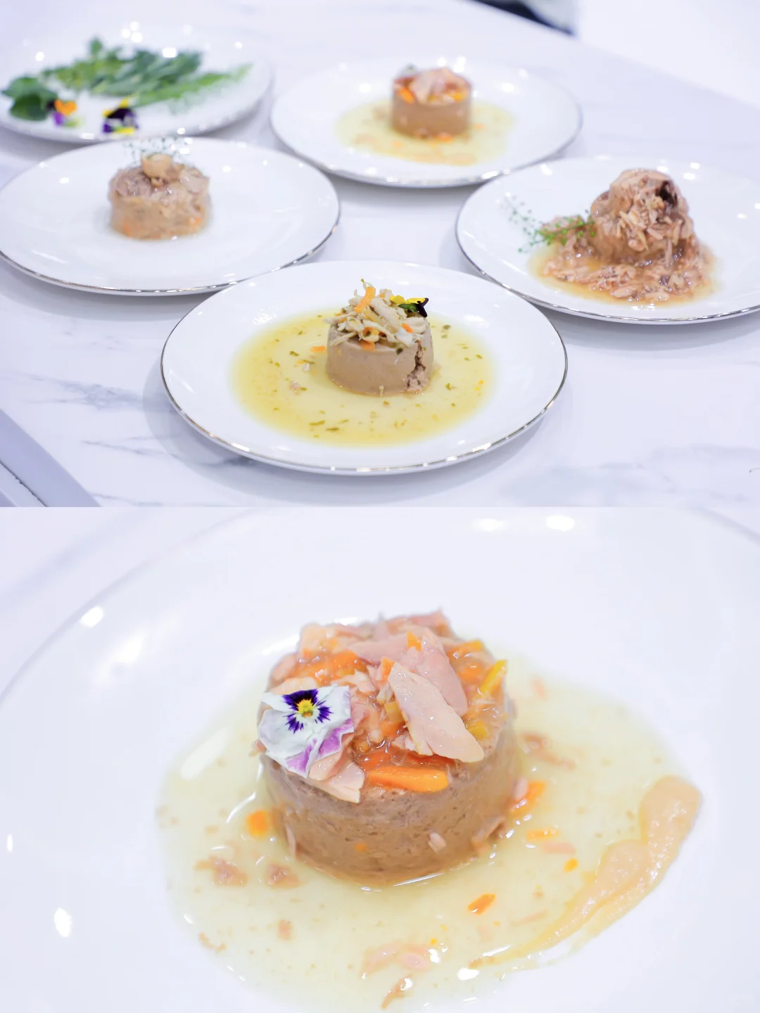 亚宠展必看保姆级逛展攻略❗️附?毛建议收藏