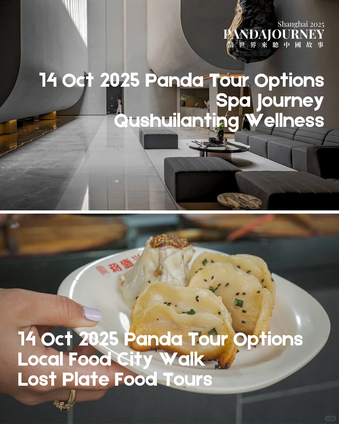 PandaJourney 2025 世界遇见中国