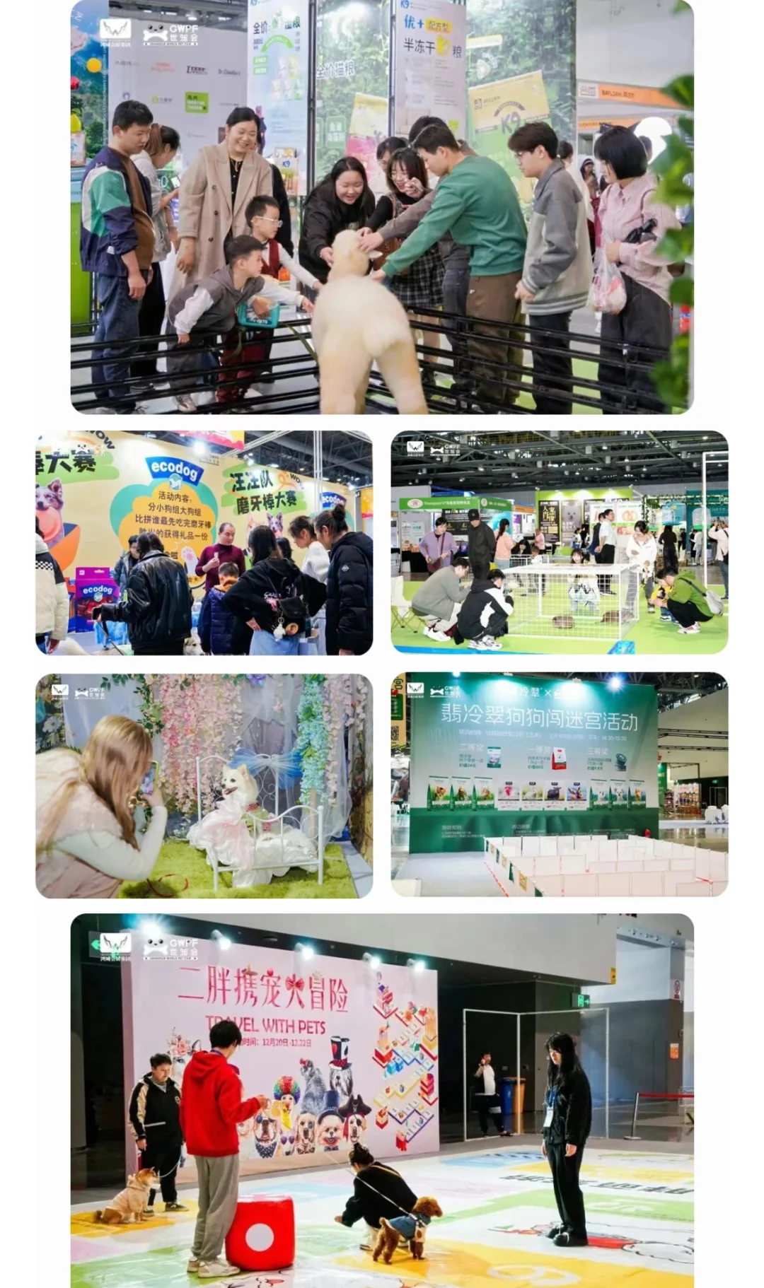 杭州宠物展早鸟票来袭❗️三天通票25/张❗️