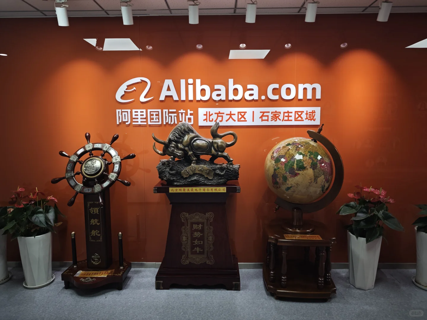 石家庄跨境电商峰会来啦???