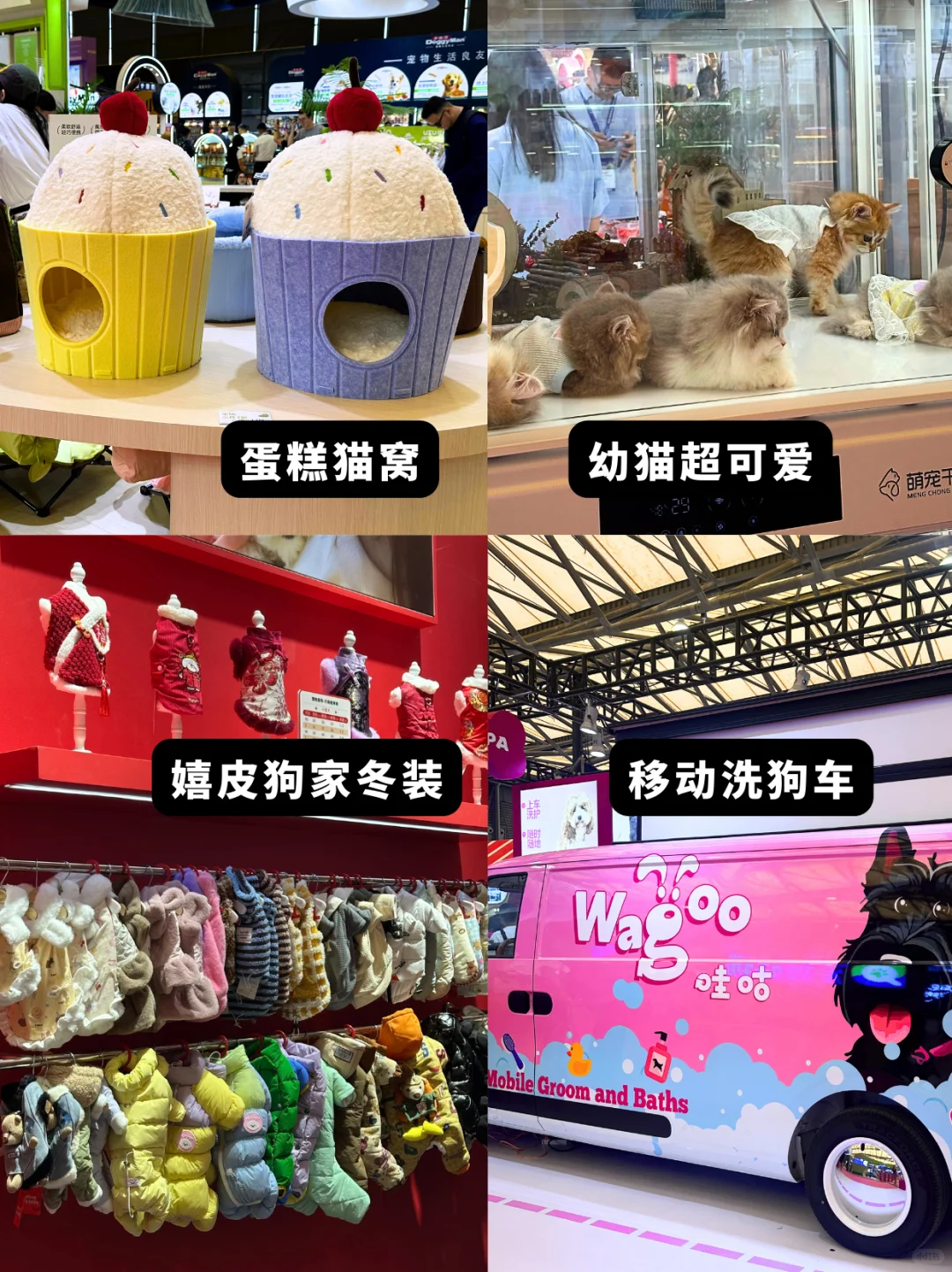 ?2025年上海亚宠展看这篇就够了！超全✨