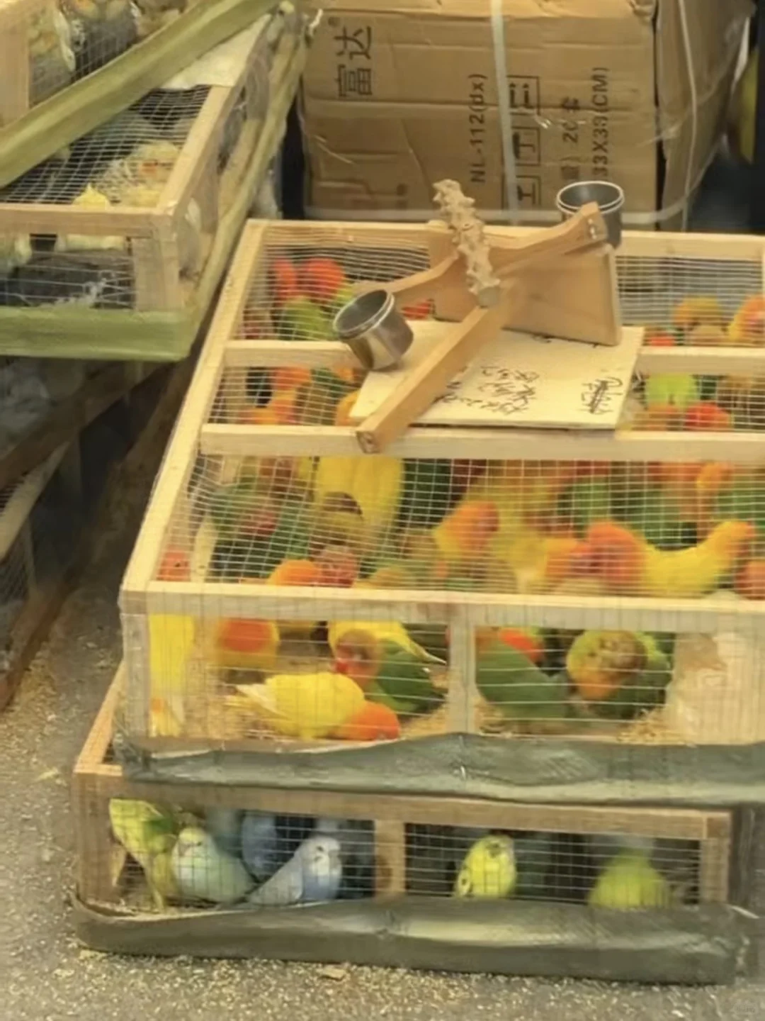 2025亚宠展 E5B01 不爱请别伤害