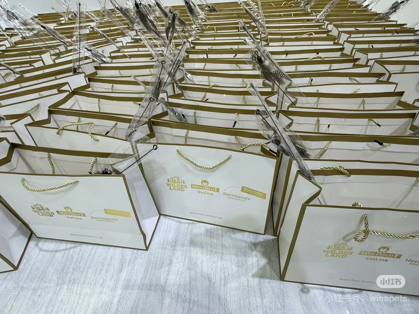 亚宠21号展会活动：关注就有礼品！