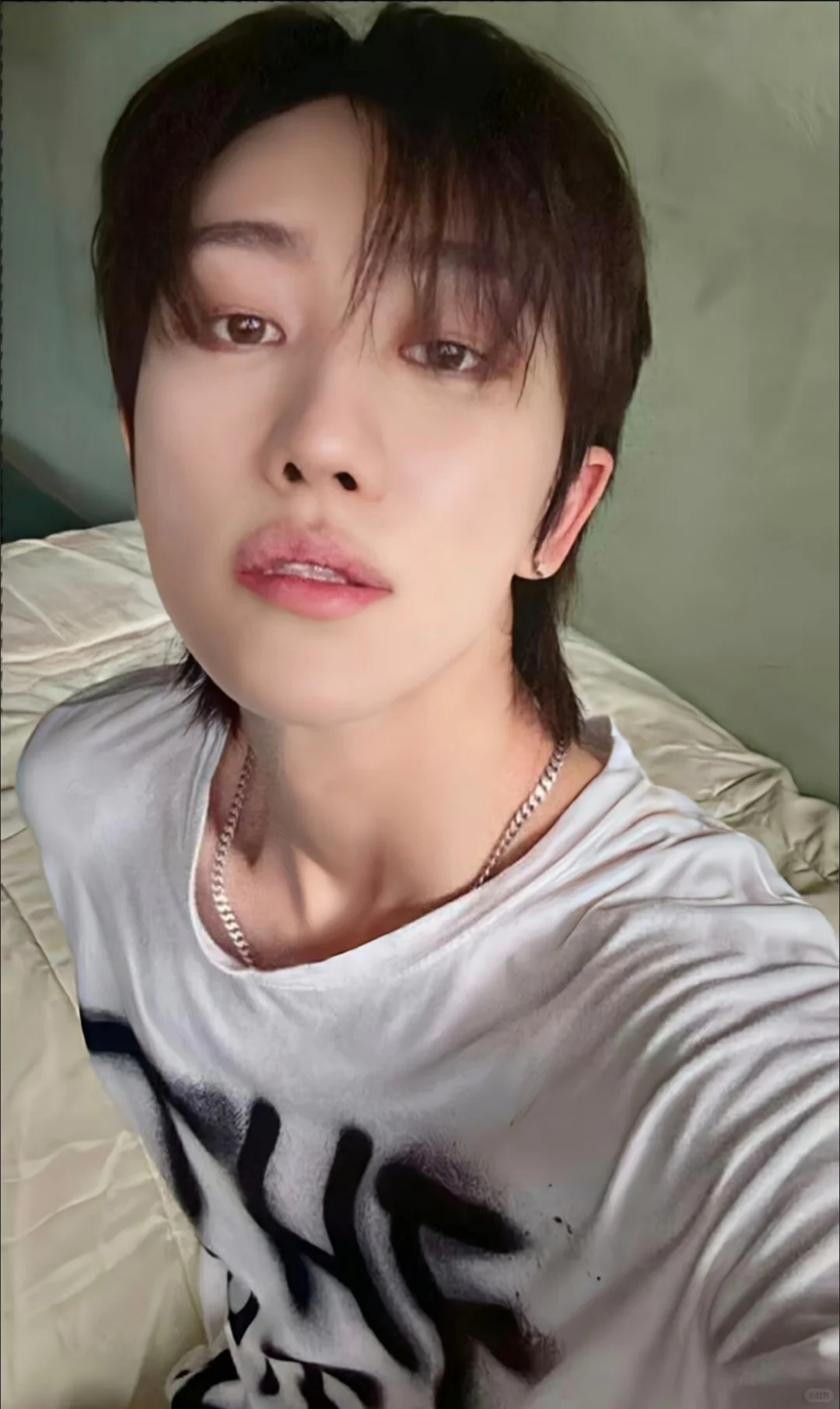 我对仰头俯视的照片没有任何抵抗力……