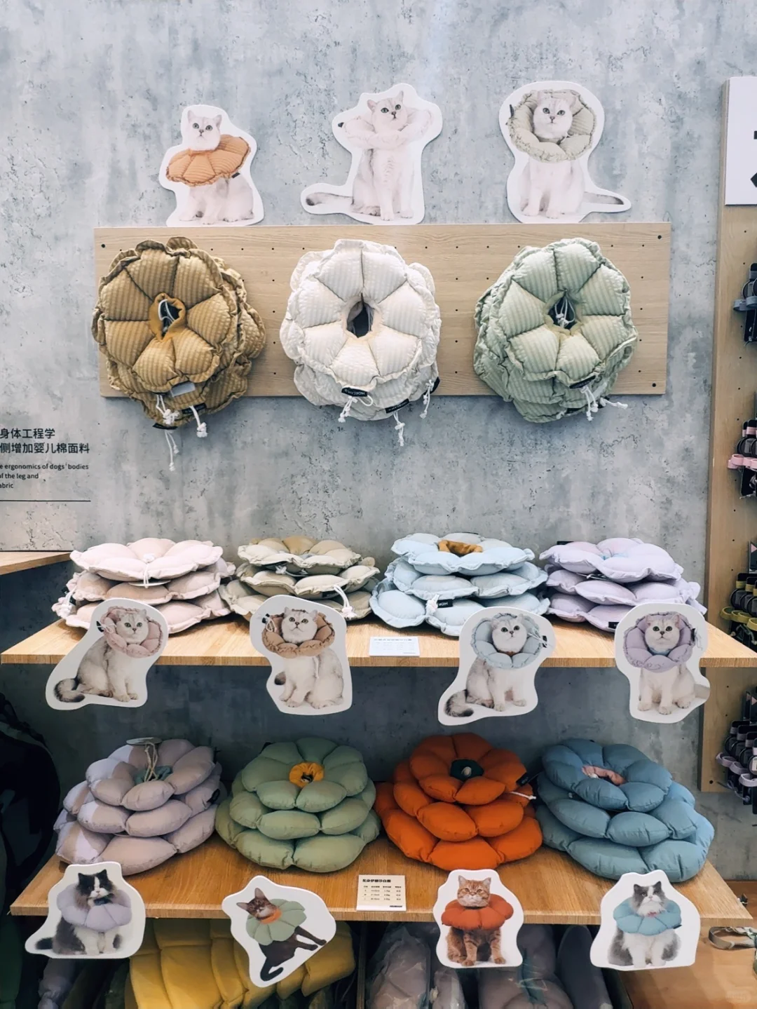 宠物用品工厂来亚宠展啦?