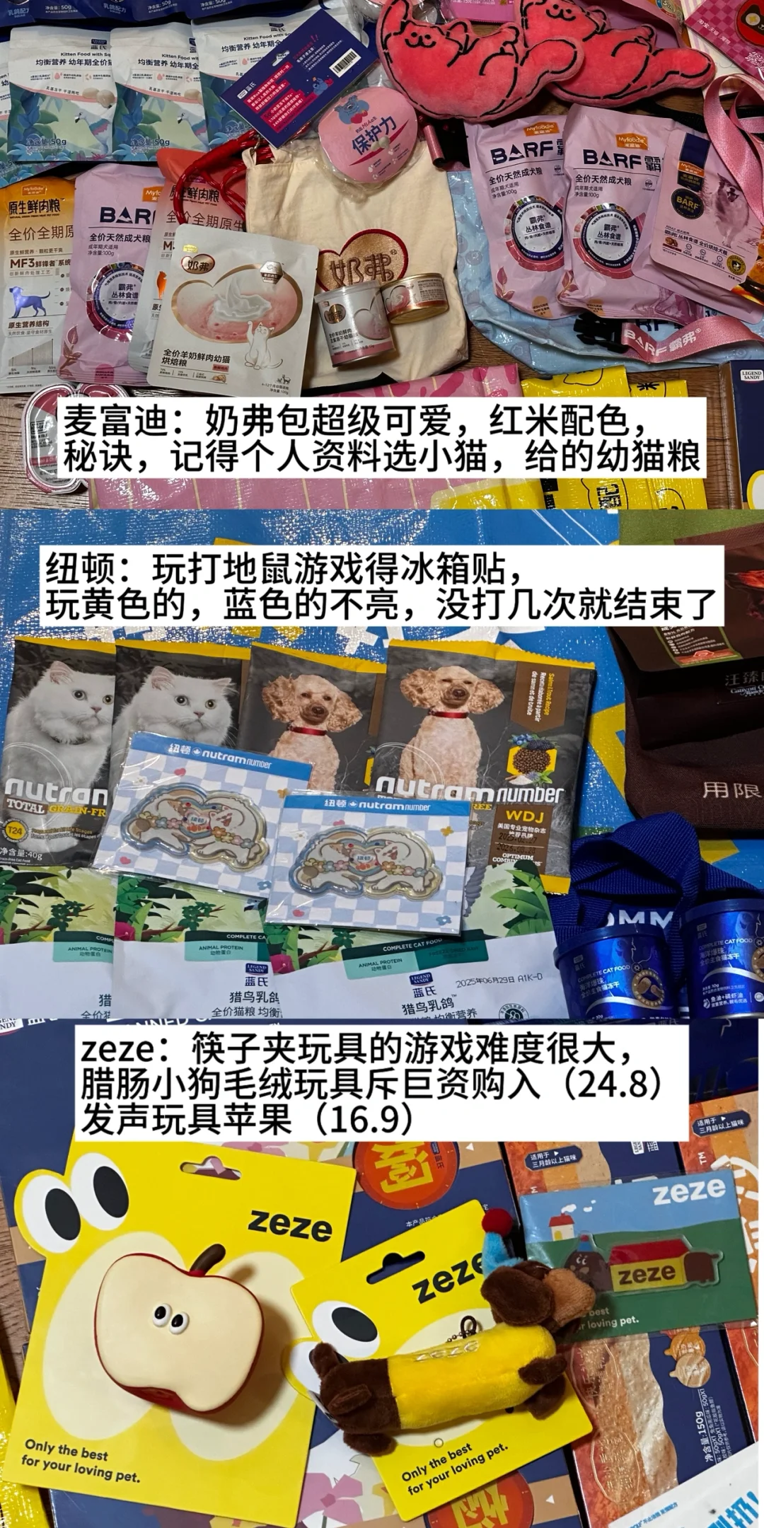 亚宠展攻略（文字版）