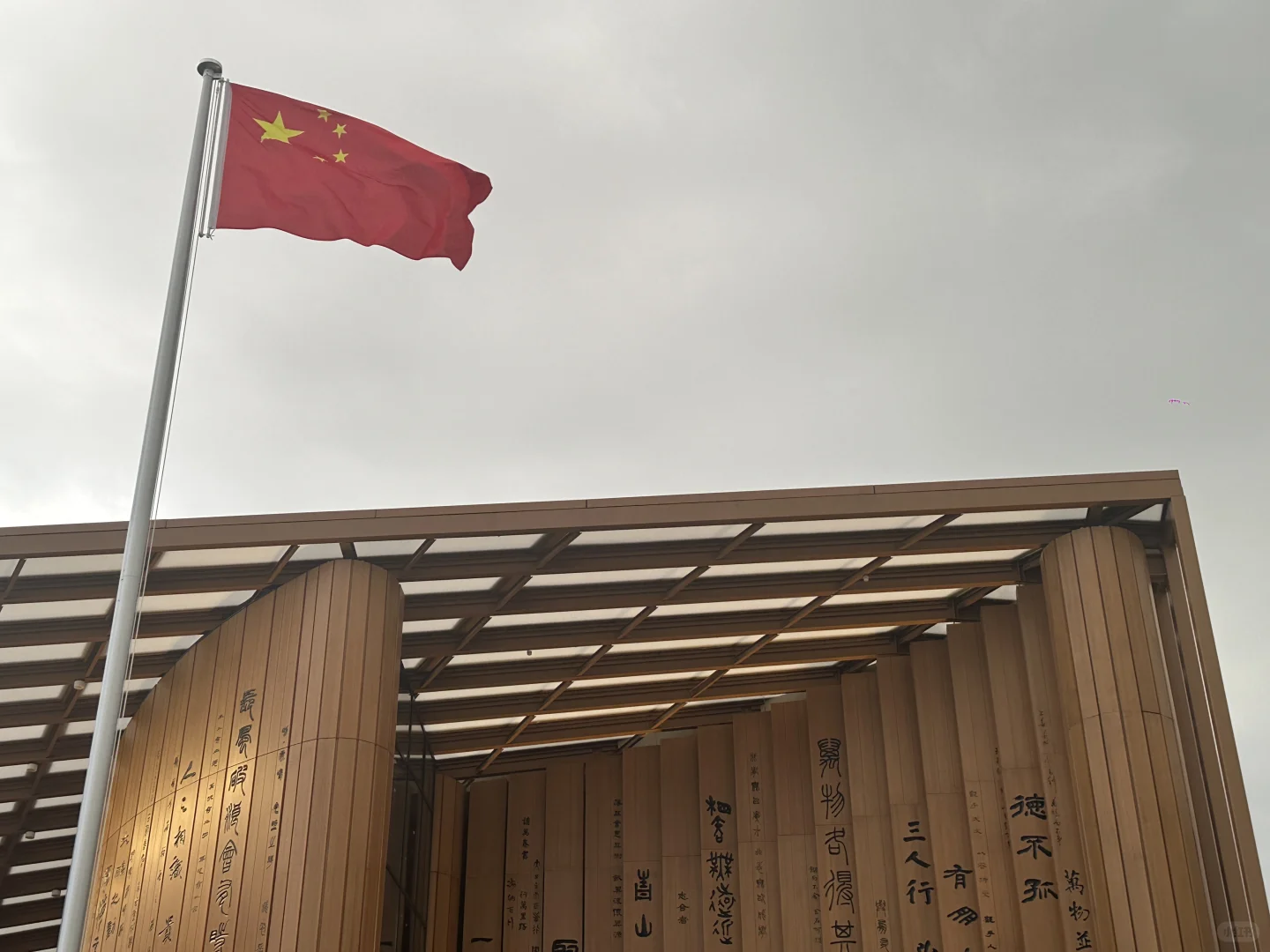 EXPO2025！长见识变成长教训！