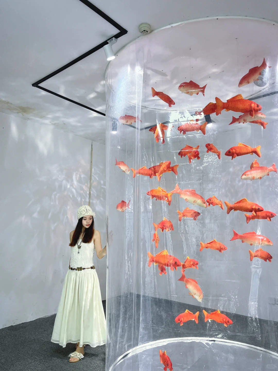 广州新展｜坠入鱼里的世界? （附路线‼️）