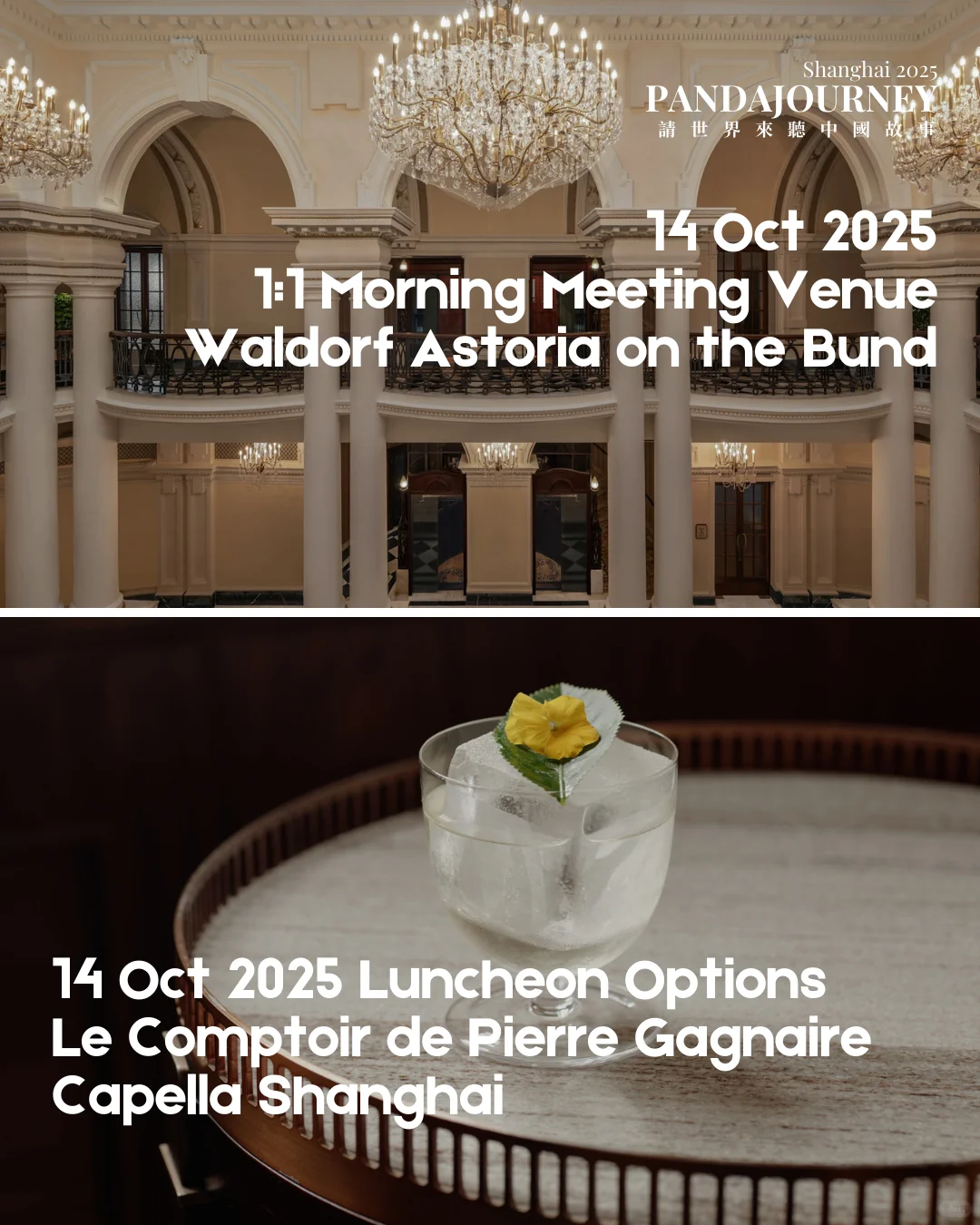 PandaJourney 2025 世界遇见中国