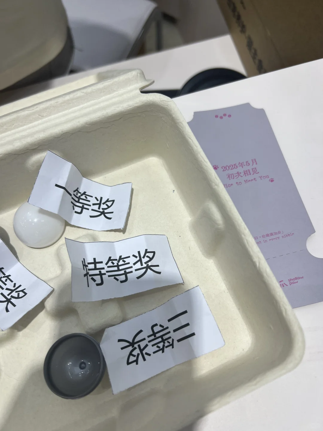 上海宠物展，今天开始啦