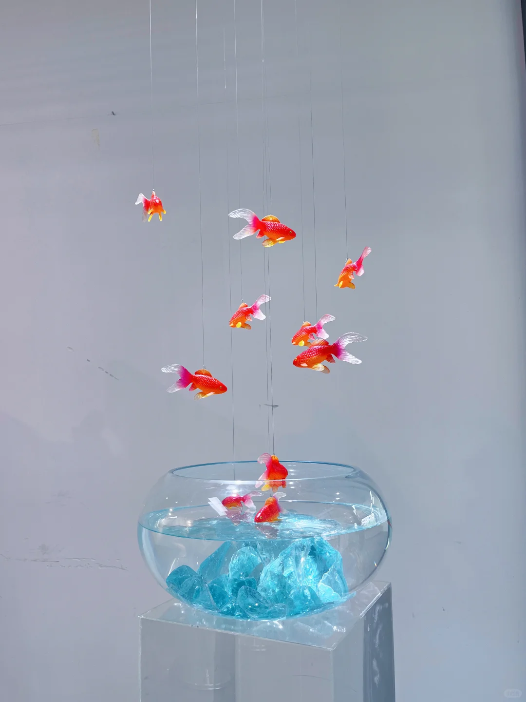 广州新展｜坠入鱼里的世界? （附路线‼️）